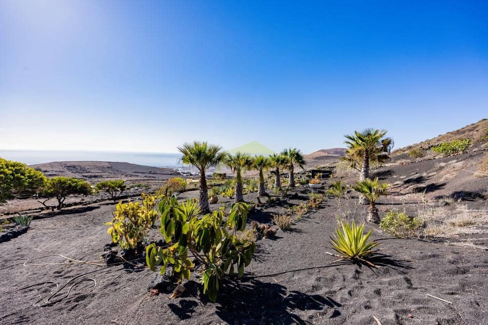 6 soverom Villa til salgs i La Asomada med svømmebasseng - € 2 350 000 (Ref: 9554516)