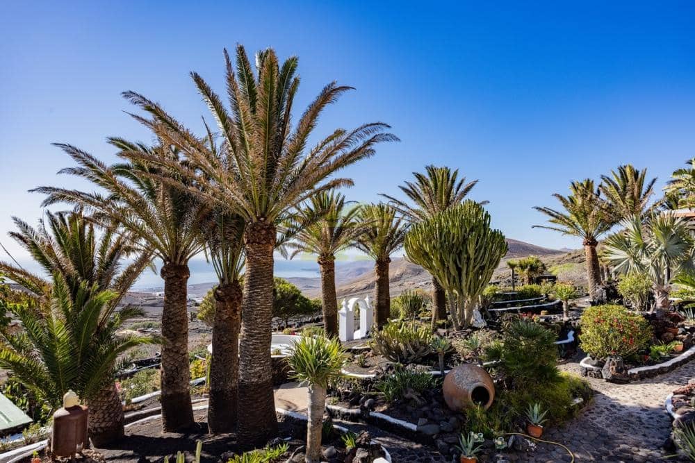 6 soverom Villa til salgs i La Asomada med svømmebasseng - € 2 350 000 (Ref: 9554516)