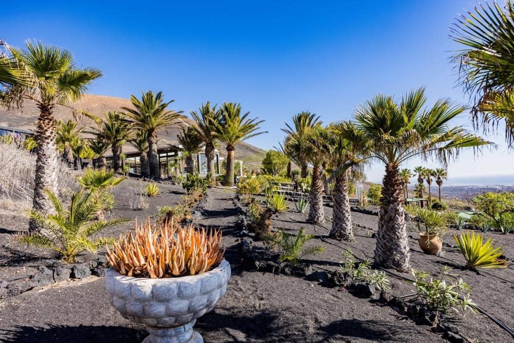 6 soverom Villa til salgs i La Asomada med svømmebasseng - € 2 350 000 (Ref: 9554516)