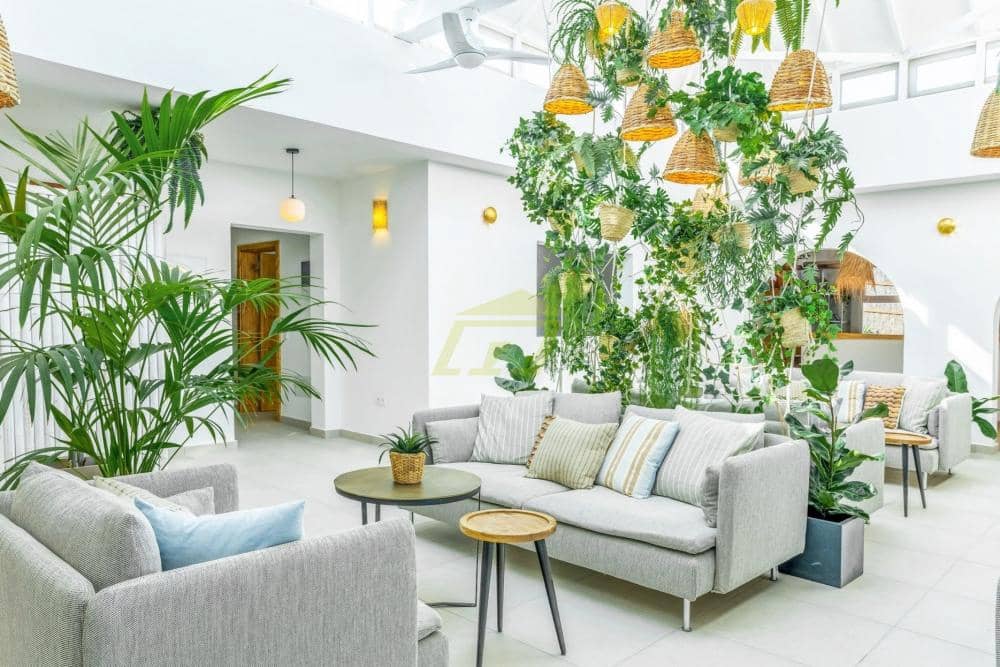 5 soveværelse Hotel til salg i Charco del Palo med swimmingpool - € 2.500.000 (Ref: 9689970)