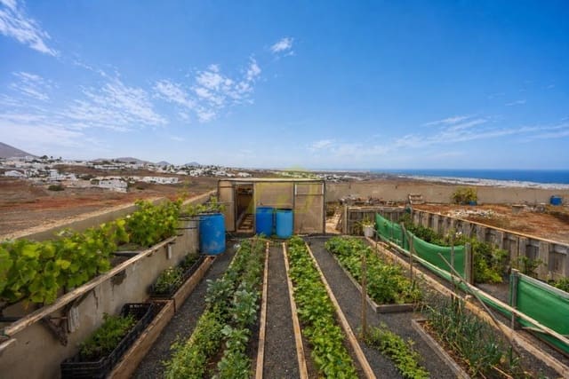 Terreno/Finca Rústica en Guime, San Bartolomé en venta - 249.000 € (Ref: 9812952)