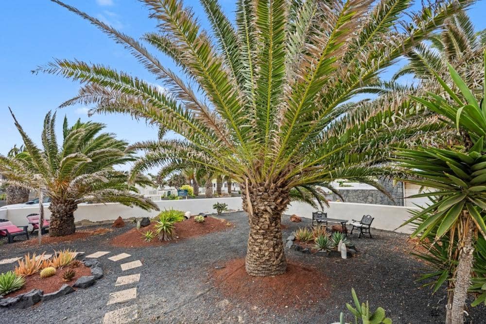Chalet de 2 habitaciones en Playa Blanca en venta con piscina - 475.000 € (Ref: 9893663)