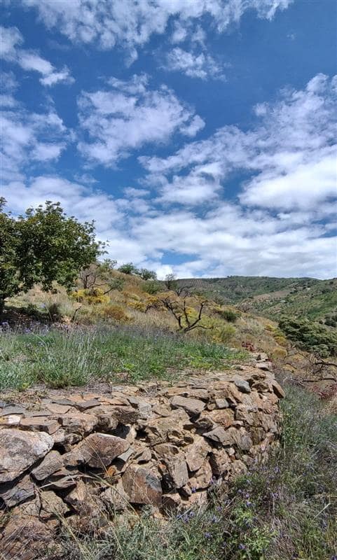 Landgrundstück zu verkaufen in Malaga Stadt - 139.900 € (Ref: 8835379)