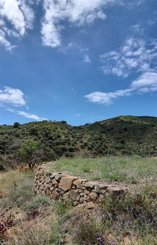 Landgrundstück zu verkaufen in Malaga Stadt - 139.900 € (Ref: 8835379)