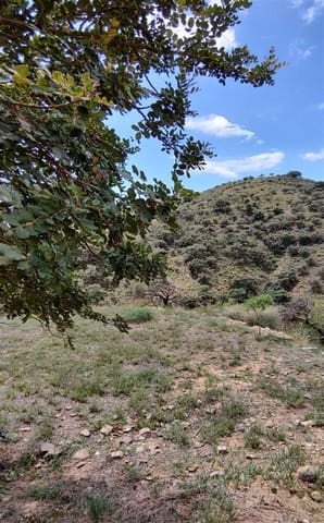 Landgrundstück zu verkaufen in Málaga Stadt - 139.900 € (Ref: 8835379)