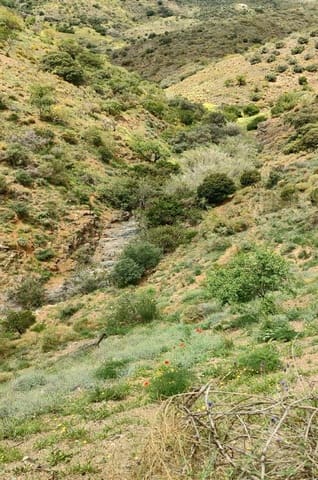 Landgrundstück zu verkaufen in Málaga Stadt - 139.900 € (Ref: 8835379)