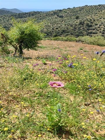 Landgrundstück zu verkaufen in Málaga Stadt - 139.900 € (Ref: 8835379)