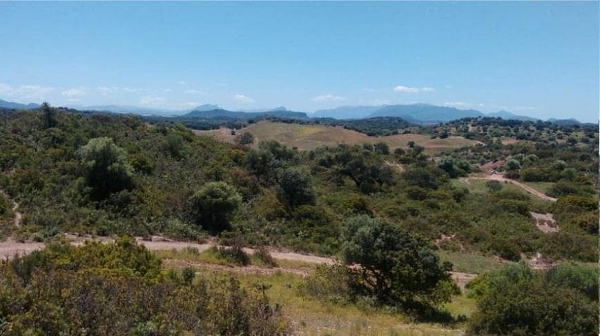 Grunde uden byggetilladelser til salg i Moron de la Frontera - € 695.000 (Ref: 9066552)