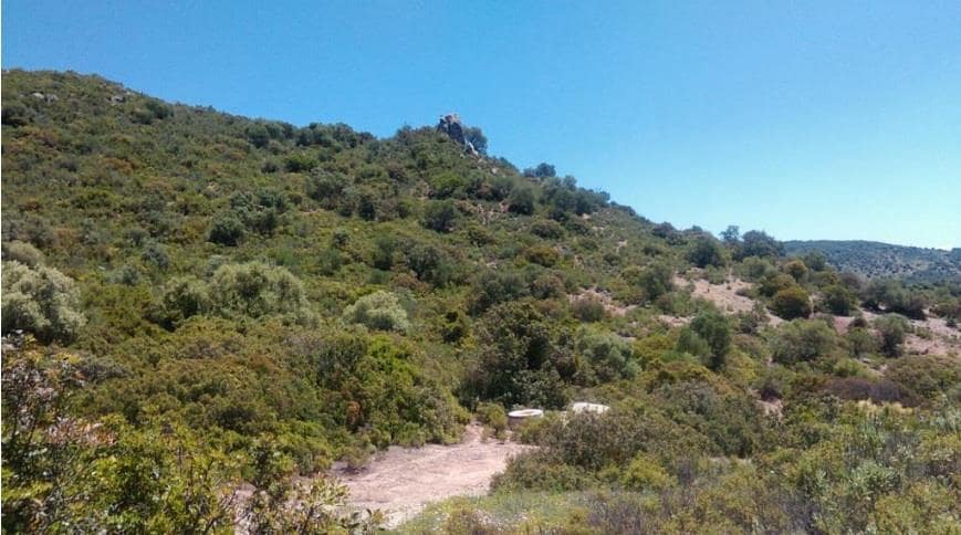 Grunde uden byggetilladelser til salg i Moron de la Frontera - € 695.000 (Ref: 9066552)