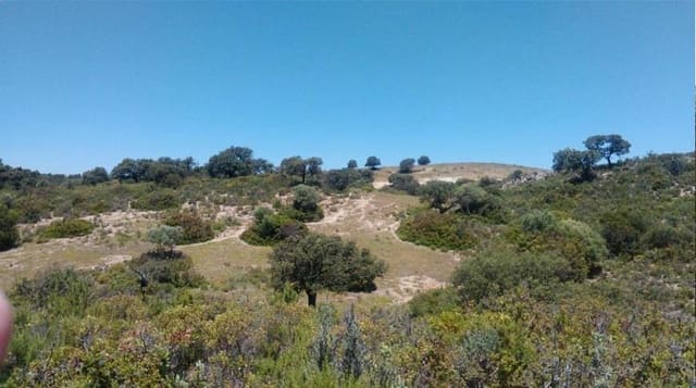 Grunde uden byggetilladelser til salg i Morón de la Frontera - € 695.000 (Ref: 9066552)