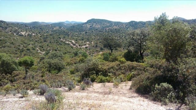 Grunde uden byggetilladelser til salg i Morón de la Frontera - € 695.000 (Ref: 9066552)