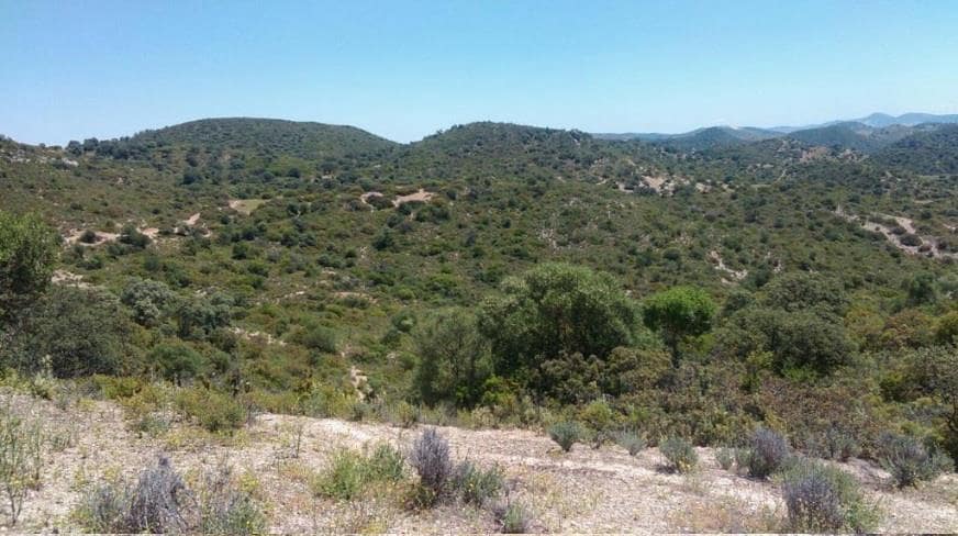 Grunde uden byggetilladelser til salg i Moron de la Frontera - € 695.000 (Ref: 9066552)