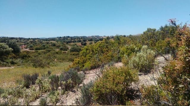 Grunde uden byggetilladelser til salg i Morón de la Frontera - € 695.000 (Ref: 9066552)