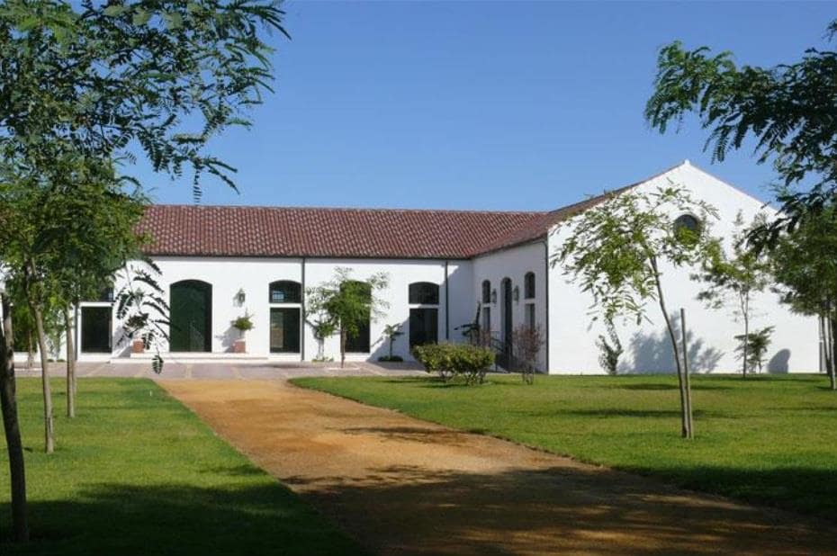 Grunde uden byggetilladelser til salg i Moron de la Frontera - € 695.000 (Ref: 9066552)