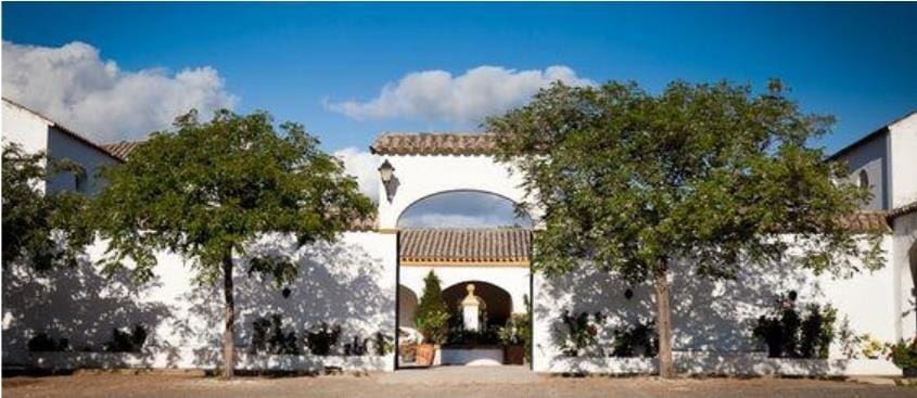 Grunde uden byggetilladelser til salg i Moron de la Frontera - € 695.000 (Ref: 9066552)