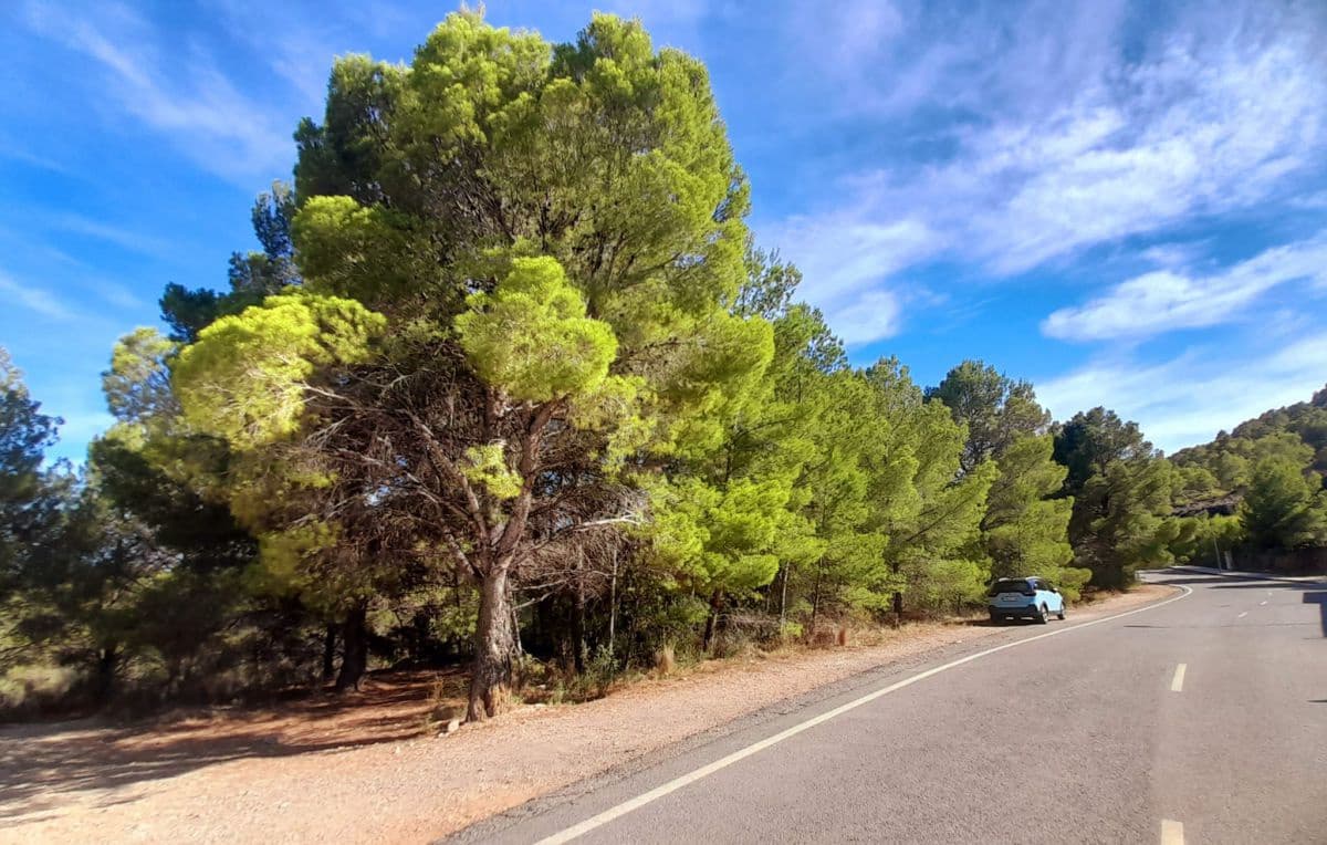 Byggetomt til salgs i Polop - € 300 000 (Ref: 8996927)