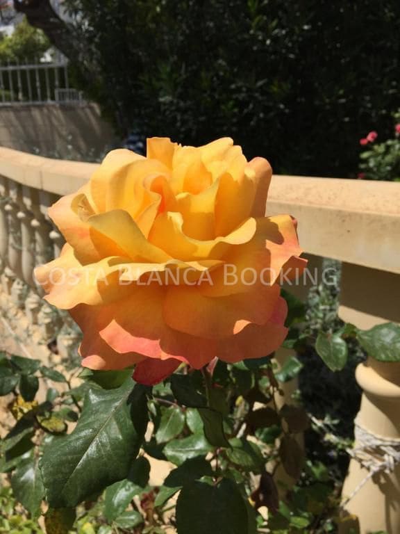 3 bedroom Villa for sale in La Nucia - € 590,000 (Ref: 9069185)