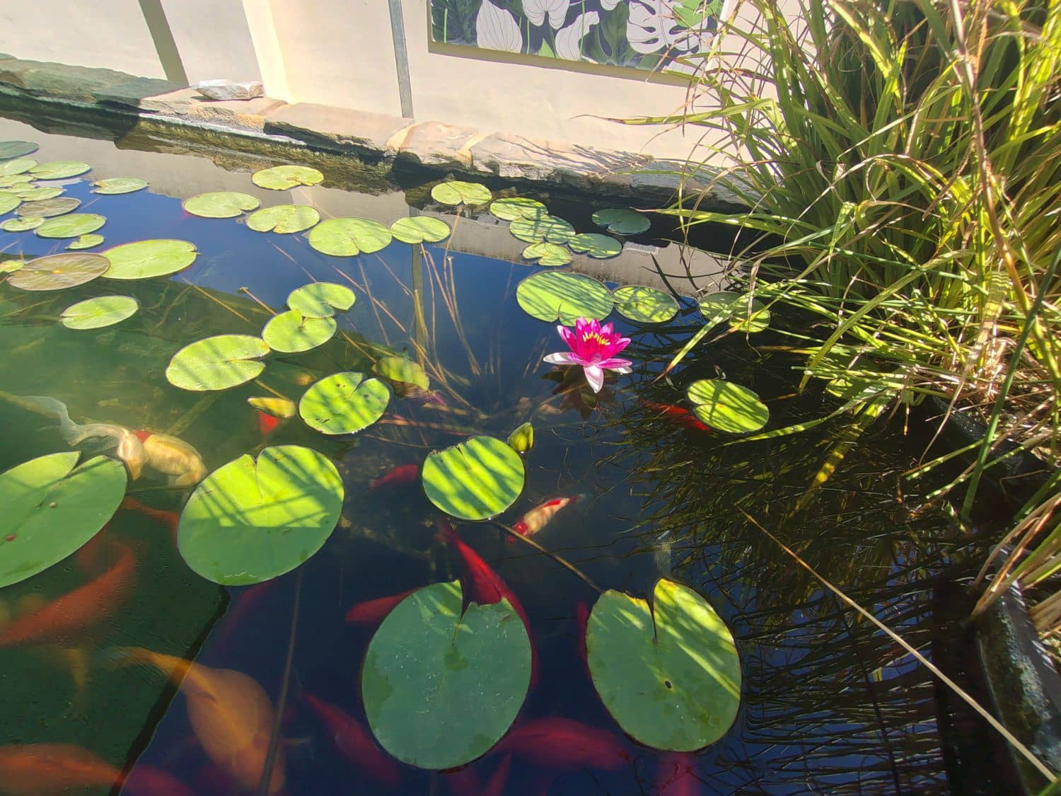 6 camera da letto Villa in vendita in Albir - 1.100.000 € (Rif: 9569339)