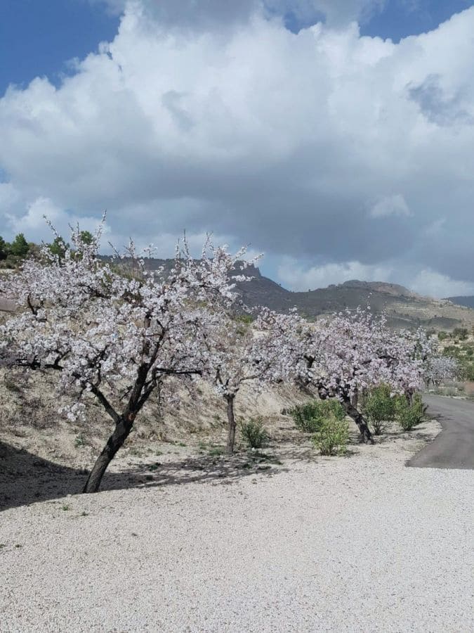 4 bedroom Villa for sale in Relleu - € 1,390,000 (Ref: 9582813)