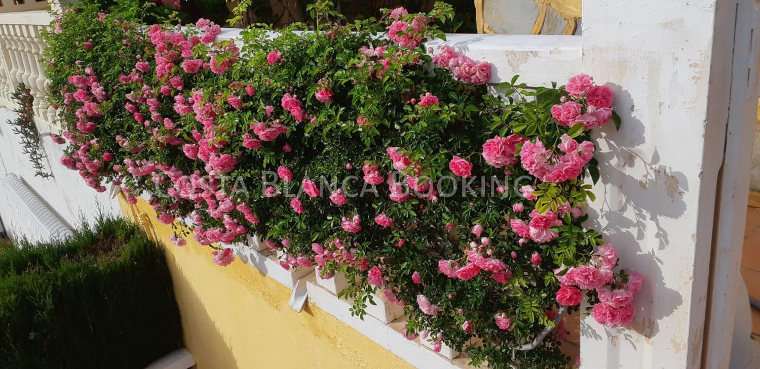 3 makuuhuone Huvila myytävänä paikassa La Nucia - 355 000 € (Ref: 9582863)