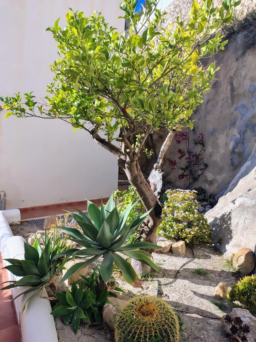 Chalet de 3 habitaciones en Montiboli en venta con piscina garaje - 470.000 € (Ref: 9611461)