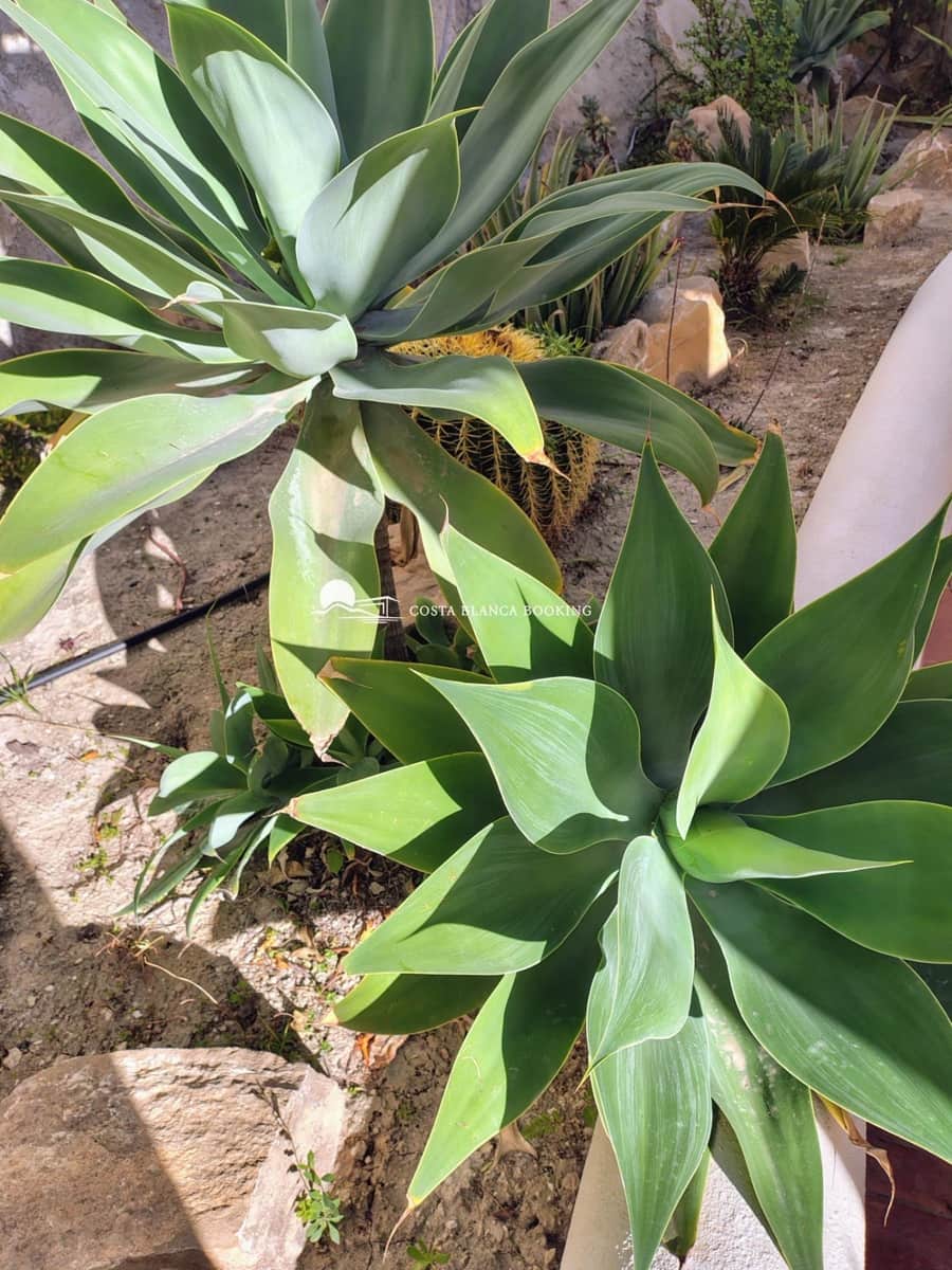 3 Zimmer Villa zu verkaufen in Montiboli mit Pool Garage - 470.000 € (Ref: 9611461)