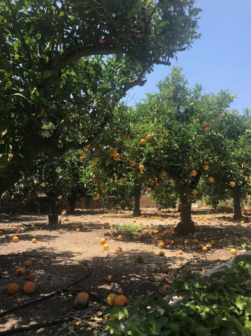 8 chambre Villa/Maison à vendre à La Nucia - 1 500 000 € (Ref: 9735518)