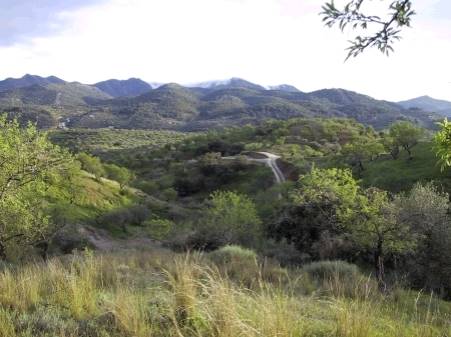 Ubebygd land til salgs i Monda - € 89 000 (Ref: 3466734)