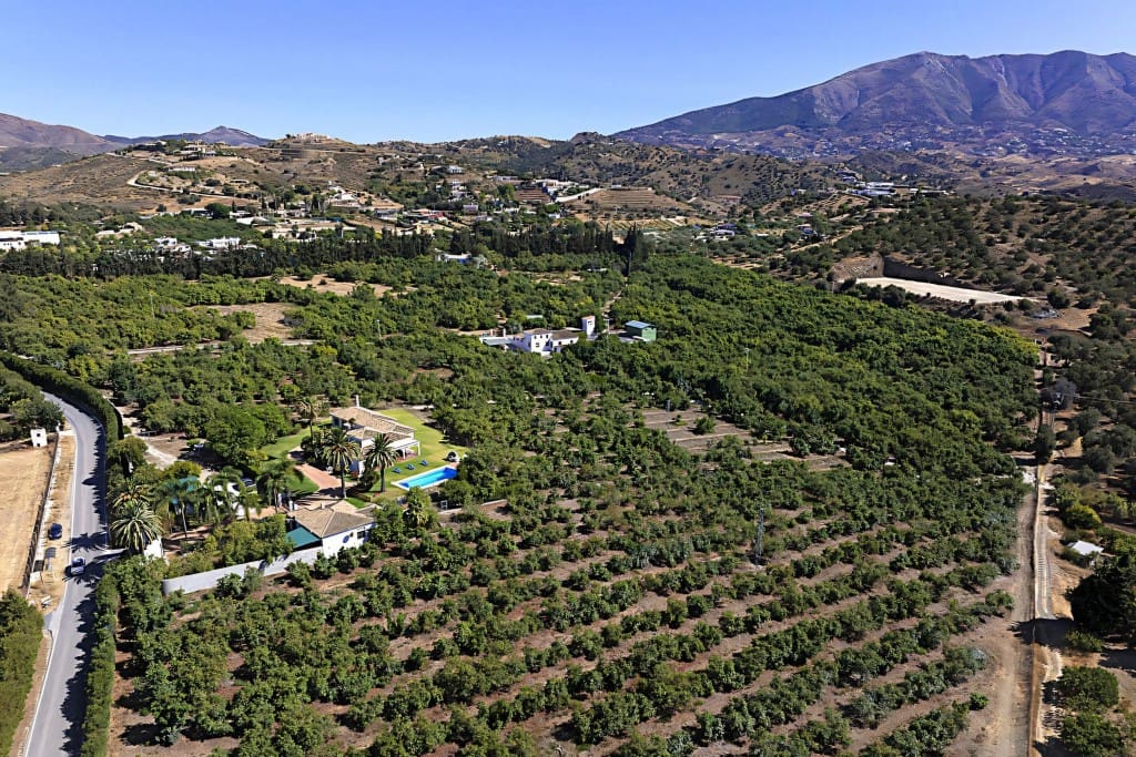 5 soveværelse Finca/Landehus til salg i Entrerrios med swimmingpool garage - € 2.995.000 (Ref: 8435581)