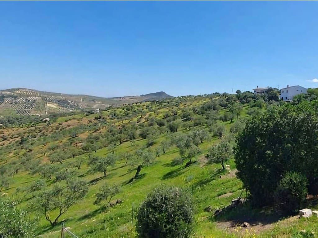 3 soveværelse Finca/Landehus til salg i Tolox med swimmingpool - € 290.000 (Ref: 9111896)