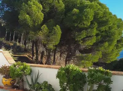 3 Zimmer Reihenhaus zu verkaufen in Mijas mit Garage - 480.000 € (Ref: 10055570)