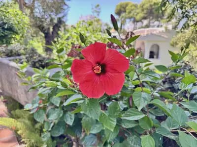 Studio for sale in Mijas with pool garage - € 229,000 (Ref: 10062306)