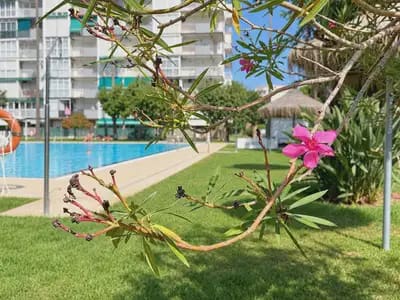 2 Zimmer Apartment zu verkaufen in Benalmadena mit Pool - 289.000 € (Ref: 10062308)
