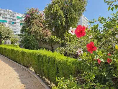 2 Zimmer Apartment zu verkaufen in Benalmadena mit Pool - 289.000 € (Ref: 10062308)