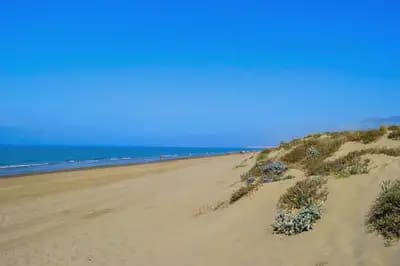 Apartamento Playa de 1 habitación en Marbella en venta con piscina garaje - 360.000 € (Ref: 10127541)