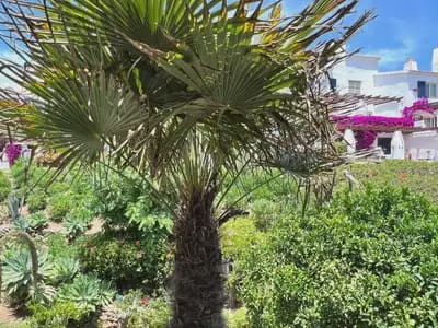 2 camera da letto Villetta a Schiera in vendita in Mijas con piscina - 549.000 € (Rif: 10131990)