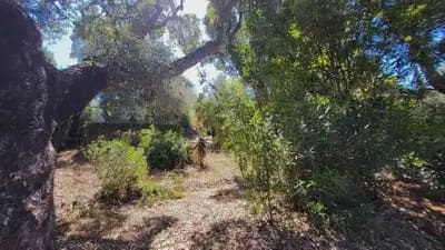 5 quarto Moradia para venda em Marbella com piscina garagem - 1 300 000 € (Ref: 10131992)