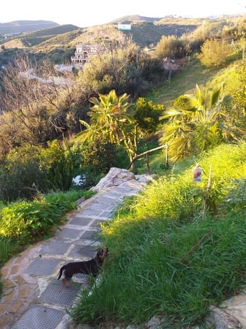 Chalet de 4 habitaciones en El Rosario, Marbella en venta con piscina garaje - 1.600.000 € (Ref: 6400537)