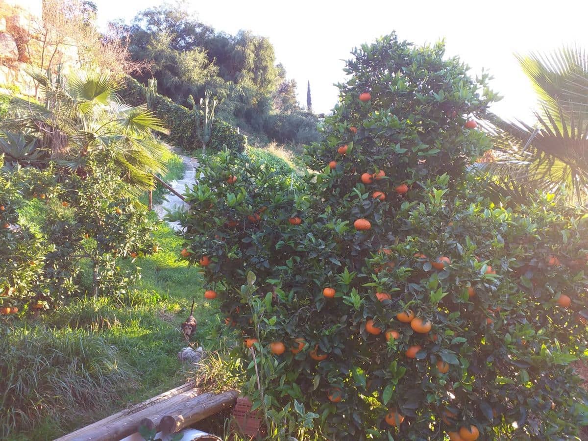 4 makuuhuone Huvila myytävänä paikassa Marbella mukana uima-altaan 
autotalli - 1 600 000 € (Ref: 6400537)