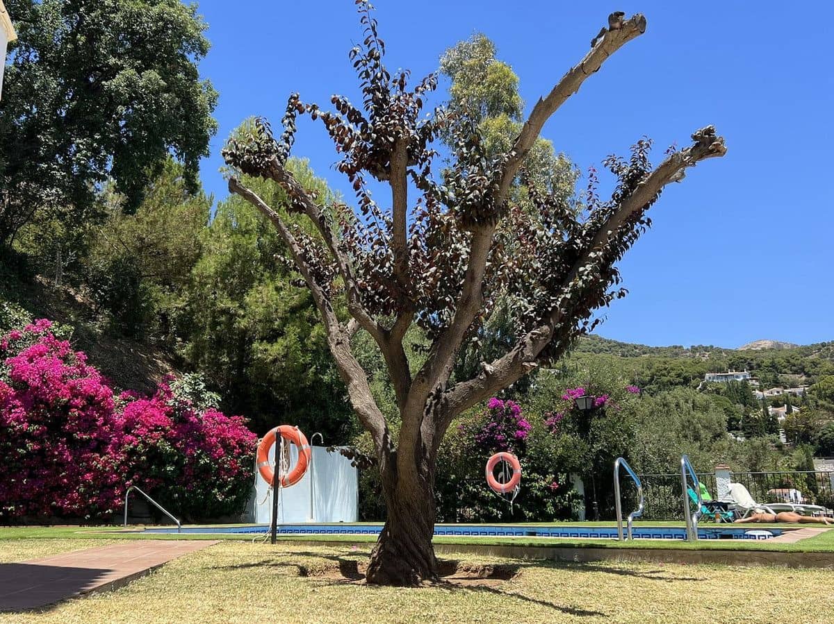 2 camera da letto Appartamento in vendita in Mijas con piscina garage - 330.000 € (Rif: 9284007)