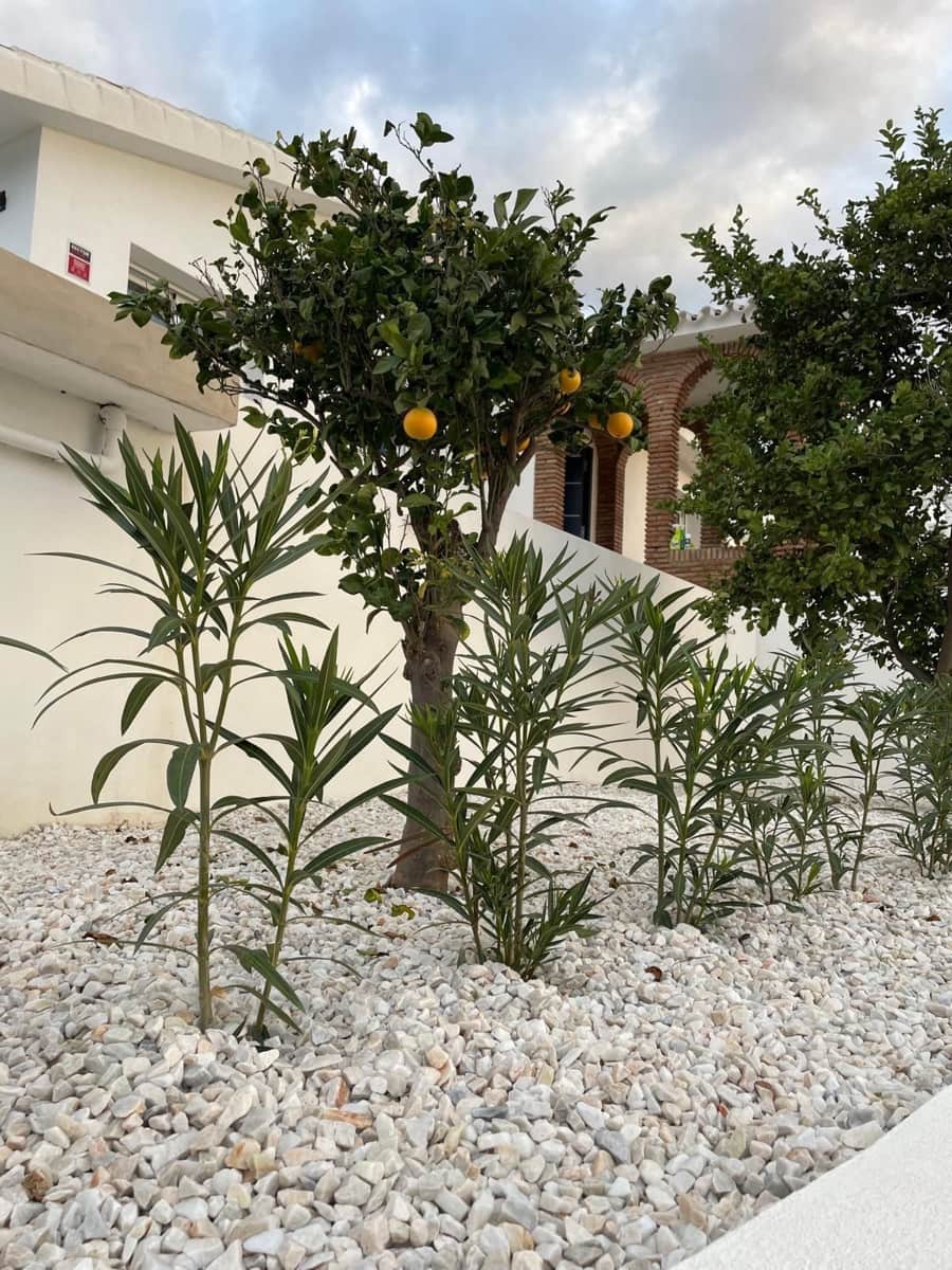 3 slaapkamer Villa te koop in Mijas met zwembad garage - € 950.000 (Ref: 9405977)