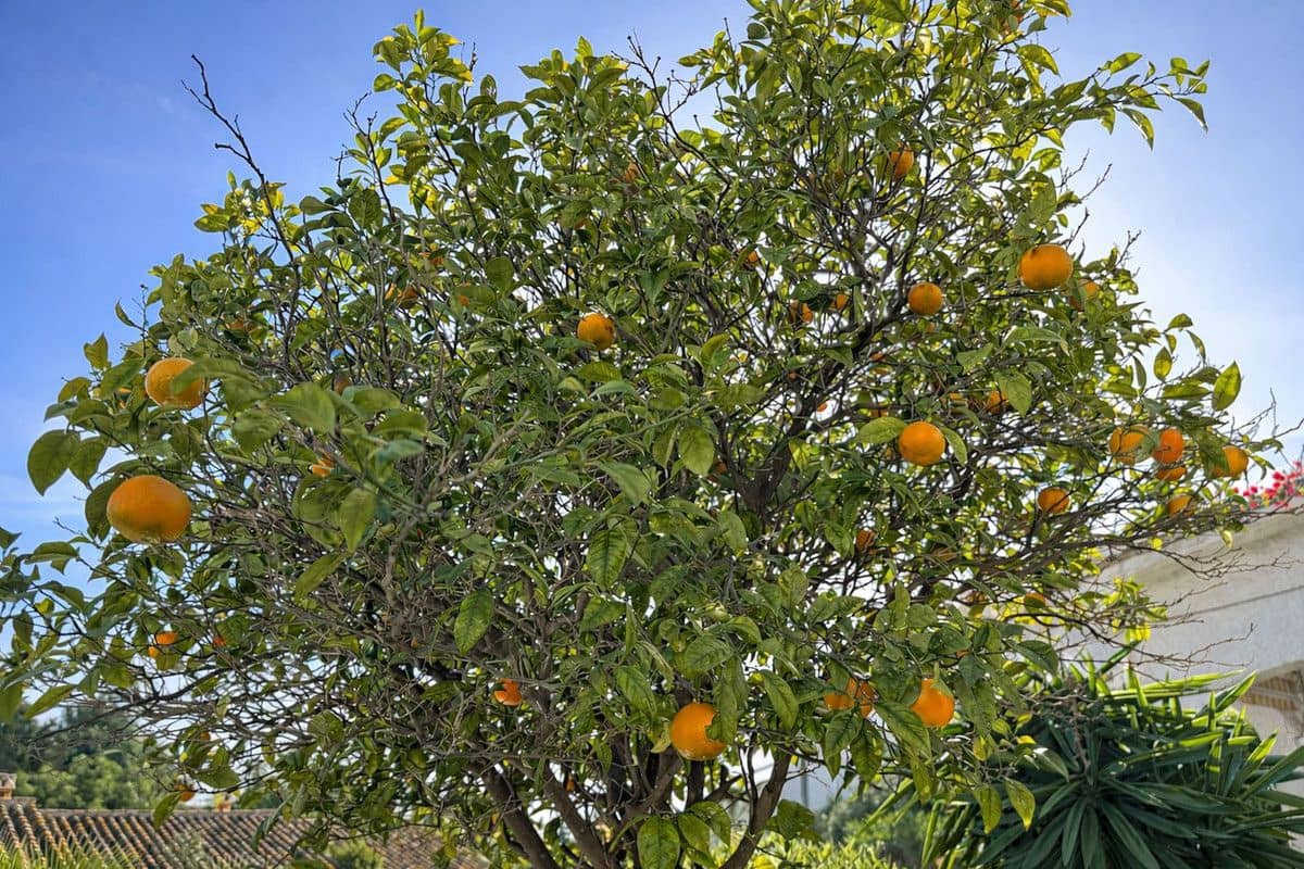 Casa de 2 habitaciones en Benalmádena en venta con piscina - 260.000 € (Ref: 9470102)