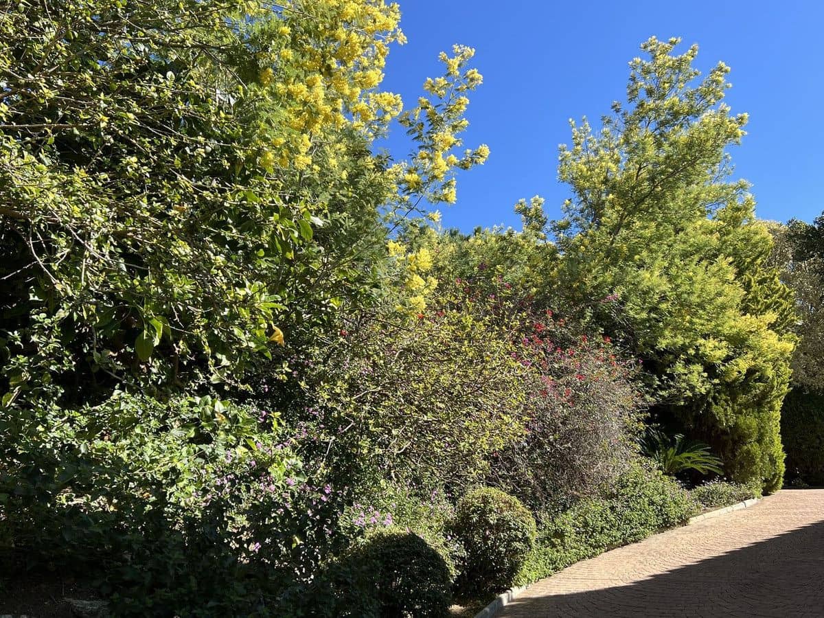 6 soverom Villa til salgs i Mijas med svømmebasseng garasje - € 2 958 500 (Ref: 9688676)