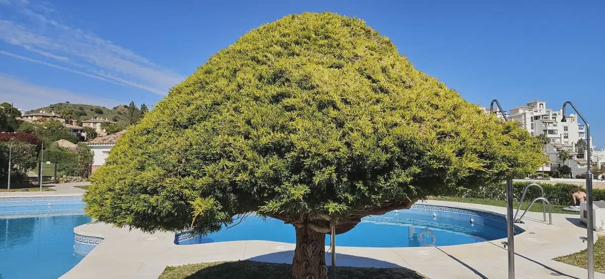 2 soveværelse Byhus til salg i Mijas med swimmingpool garage - € 549.000 (Ref: 9760067)