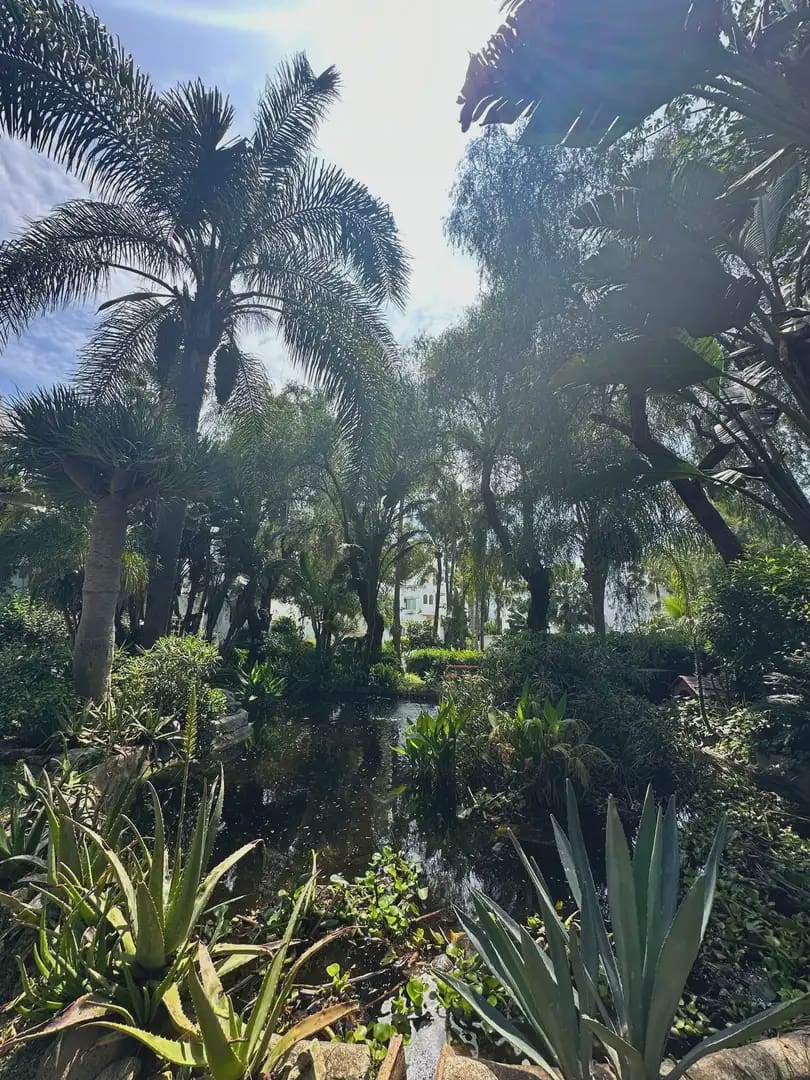 2 chambre Penthouse à vendre à Marbella avec piscine garage - 280 000 € (Ref: 9821781)