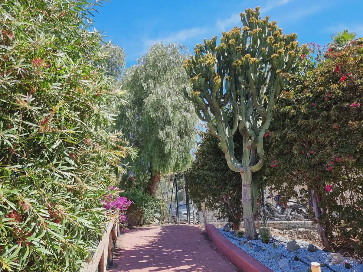 2 sovrum Takvåning till salu i Marbella med pool garage - 359 000 € (Ref: 9855844)