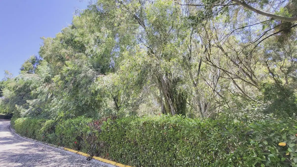 2 soveværelse Lejlighed til salg i Mijas med swimmingpool - € 375.000 (Ref: 9890621)