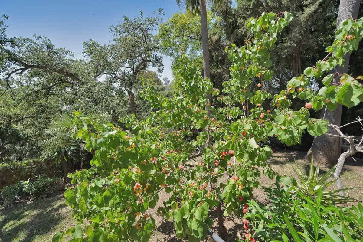 6 slaapkamer Villa te koop in Marbella met zwembad garage - € 2.800.000 (Ref: 9972330)