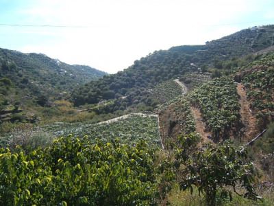 1 soverom Finca/Herregård til salgs i Torrox - € 159 000 (Ref: 3393185)