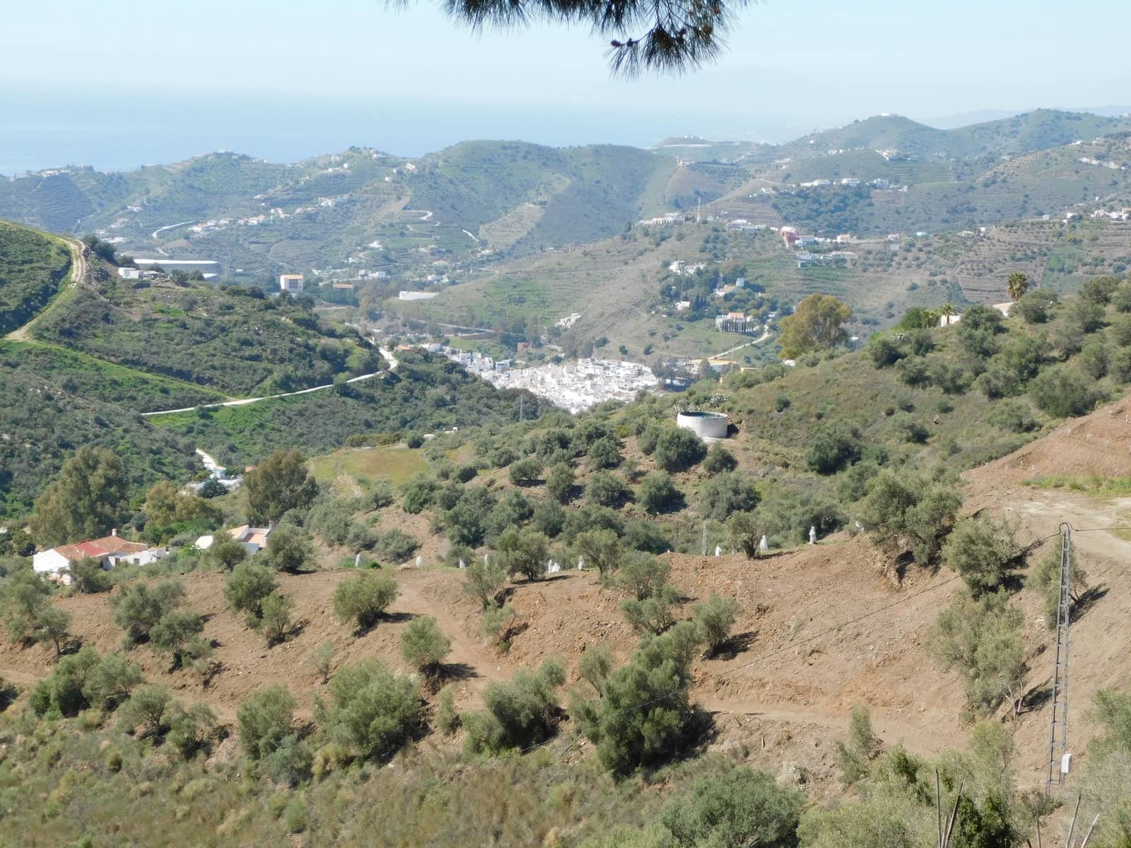 Mark till salu i Torrox - 50 000 € (Ref: 5960458)